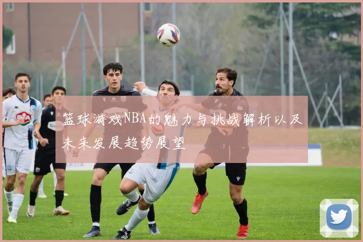 篮球游戏NBA的魅力与挑战解析以及未来发展趋势展望
