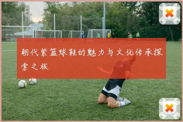 朝代紫篮球鞋的魅力与文化传承探索之旅