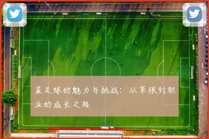 菜足球的魅力与挑战：从草根到职业的成长之路